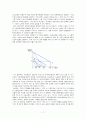 독점과 과점 7페이지