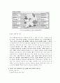 [도시지리] 군장산업단지건설과 새만금군산경제자유구역 설정의 경제적 파급효과 8페이지