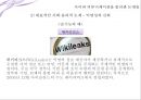 공학윤리 - 사이버윤리에 관해서 12페이지
