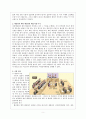 [범죄와 형벌] 국민참여 재판 {이론적 배경, 절차와 과정, 외국의 사례와 논의점, 법과 정치 수업} 5페이지