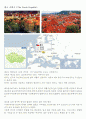 도예 - 체코 도자기 조사 1페이지