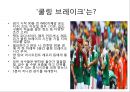 월드컵조사 - 브라질 월드컵에 대해서 11페이지