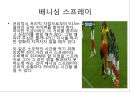 월드컵조사 - 브라질 월드컵에 대해서 12페이지