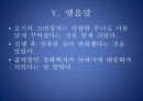 문화재의 이해 - 도자기 박물관 견학후(시대별 도자기 비교) 10페이지