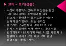 모기의 분류 및 형태 15페이지