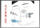 모기의 분류 및 형태 17페이지