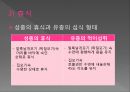 모기의 분류 및 형태 19페이지