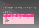 모기의 분류 및 형태 21페이지