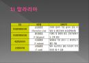 모기의 분류 및 형태 26페이지