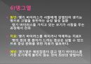 모기의 분류 및 형태 39페이지