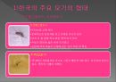 모기의 분류 및 형태 48페이지