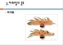 전통문화 - 하회탈에 대하여 19페이지