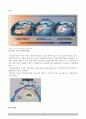 환경재해개론 - 한파에 대한 조사와 사례 및 해결방안 5페이지
