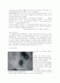 미생물과 생활 - 뉴스속의 미생물 탐구 6페이지