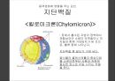 생화학 - 고지혈증의 생화학적 접근 8페이지