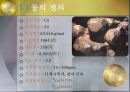 [지구환경 과학] 우리나라의 동광상.pptx 3페이지