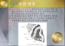[지구환경 과학] 우리나라의 동광상.pptx 13페이지