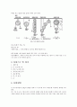 일반물리학 실험 - 도르래(pulley) 실험 결과 2페이지