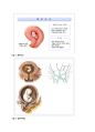 유산 (流産 abortion) 2페이지