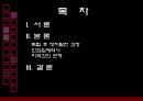 라틴아메리카(Latin America 중남미) 민주화 과정에서의 인권탄압.ppt 2페이지