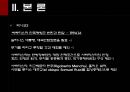 라틴아메리카(Latin America 중남미) 민주화 과정에서의 인권탄압.ppt 12페이지