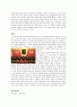중국 혁명의 아버지, 손문(쑨원 孫文)과 신해혁명(辛亥革命) 3페이지
