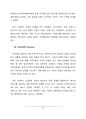 xiaomi 샤오미 기업경영,마케팅케팅전략 분석및 샤오미 문제점과 해결방안연구및 샤오미 새로운 전략제안 보고서 18페이지