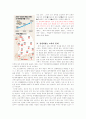 한국사람들은 기존의 교육제도를 불신한다 - 문제인식의 계기, 문제들의 예 5페이지