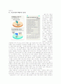 한국사람들은 기존의 교육제도를 불신한다 - 문제인식의 계기, 문제들의 예 6페이지
