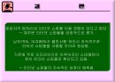 인터넷 쇼핑 사용 실태에 관한 조사.ppt 24페이지