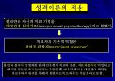 설리반(Harry Stack Sullivan)의 대인관계 이론.ppt 18페이지