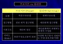 설리반(Harry Stack Sullivan)의 대인관계 이론.ppt 20페이지