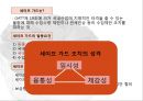 한중 마늘 세이프가드 {발생배경, 진행과정, 발동요건, 한·중 협상, 시사점}.pptx 5페이지