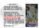 한중 마늘 세이프가드 {발생배경, 진행과정, 발동요건, 한·중 협상, 시사점}.pptx 25페이지