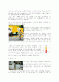 스포츠 도핑(Doping in Sports)  4페이지