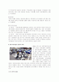 자치경찰제 도입을 위한 과제와 전망  5페이지