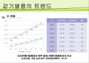 슬로우 투어리즘 트렌드 분석 -걷는 관광 10페이지
