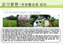 슬로우 투어리즘 트렌드 분석 -걷는 관광 30페이지
