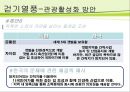 슬로우 투어리즘 트렌드 분석 -걷는 관광 34페이지