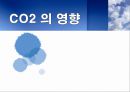 CO2의 영향 PPT 1페이지