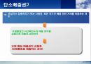 CO2의 영향 PPT 10페이지