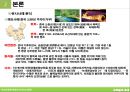 생태교육적인 여가소비 현장- 우포늪의 초대 15페이지
