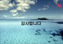 나무(Namuh)의 마케팅전략 25페이지