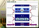 BSC 모델에 의한 진단 13페이지