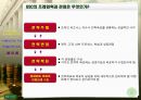 BSC 모델에 의한 진단 15페이지