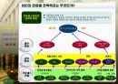 BSC 모델에 의한 진단 20페이지
