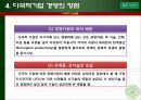 다국적기업 경영의 특성 14페이지