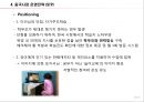 재능교육의 중국 E-Learning 유아교육시장 마케팅 전략 13페이지