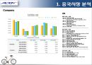 알톤 스포츠의 전기자전거 중국시장 마케팅 전략 10페이지