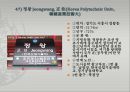[실용한문] 지하철4호선 한문노선도 만들기 53페이지